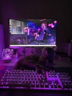 a cat laying on top of a keyboard in front of a computer monitor with neon lights