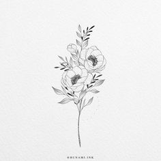 an ink drawing of three flowers on a white paper with the words dream link above it