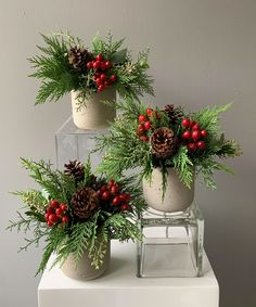 three potted plants with pine cones, berries and holly on top are sitting on a white table