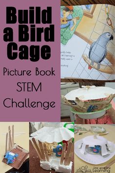 Buildling a bird cage helped us practice designing and engineering a creation. Fun picture book inspired lesson! Bird Stem Activities, Picture Book Stem Activities, Animal Stem Activities For Kids, Bird Activities, Spring Stem, Stem Bins, Steam Kids, Storytime Ideas, Flying Creatures