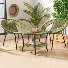 two chairs and a table in a room with plants on the floor, near a window