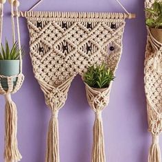 macrame wall hangings with succulents and potted plants on them