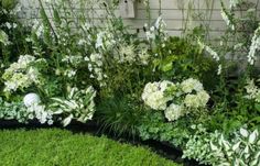 some white flowers and green plants in black pots next to a wall with a birdhouse on it