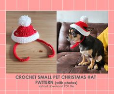 a small dog wearing a red and white crochet christmas hat on top of a couch