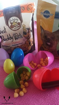 the cat is looking at the food in the bowls next to it's bag