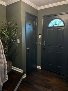 the front door is painted dark green and has a potted tree in the corner