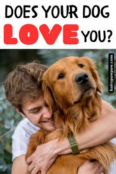 a man hugging his dog with the words does your dog love you?