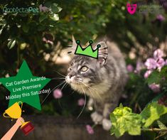 a cat with a green crown on it's head standing next to some flowers