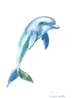 a painting of a dolphin jumping in the air