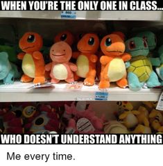 two shelves with stuffed animals on them and the caption says, when you're the only one in class who doesn't understand anything