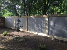 a fenced in area with a small tree next to it