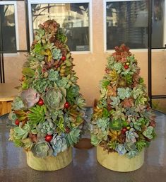 two potted plants sitting on top of a table