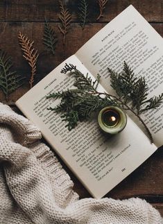 an open book on top of a wooden table next to a candle and some plants