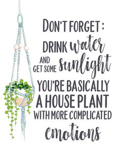 a quote that reads, don't forget drink water and get some sunlight you're basically a house plant with more complicated emotions