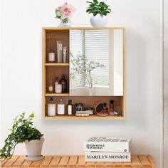 a shelf that has some bottles on it and a potted plant next to it