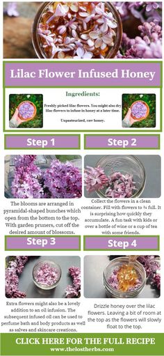 the instructions for how to make lila flower infused honey