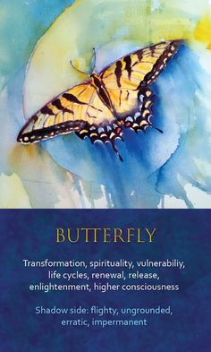 a butterfly on a blue and yellow background with the words butterfly written in white lettering