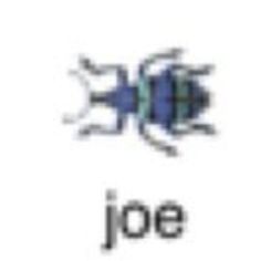 the word joe is written in white and blue