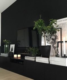 a living room with black walls and plants on the entertainment center, along with bookshelves