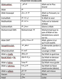 an arabic language chart with different languages and their corresponding names in english, arabic, and french