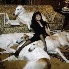 a woman is sitting on the couch with three dogs