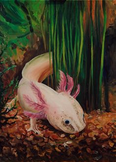 an acrylic painting of a pink and white fish in the water with green plants