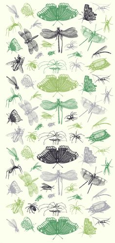 an image of many different types of bugs and insects on a white background with green accents