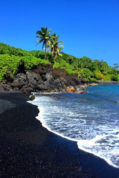 black sand beach with palm trees and blue water