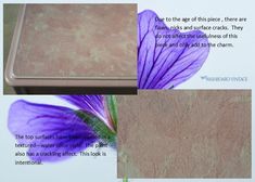 a purple flower sitting on top of a table next to a piece of paper with writing underneath it