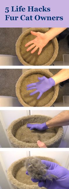 the steps to make a cat bed with purple gloves on top and hands in front