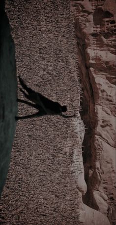 the shadow of a person walking along a beach