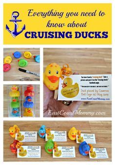 a collage of different items including buttons, cards and magnets with the words everything you need to know about cruising ducks