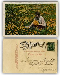 an old postcard with a woman kneeling in a field of flowers on it's side