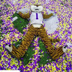 a stuffed animal laying on top of purple and yellow confetti covered ground next to grass