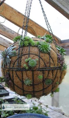 the instructions for how to make a hanging basket planter with succulents