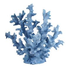 an image of a blue coral on a white background with watercolor paint and ink