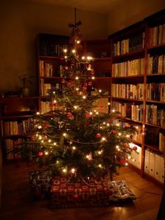 a small christmas tree is lit up in the corner of a room with many bookshelves