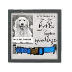 Pet Memorial Picture Frame Collar Keepsake Shadow Box Sympathy Gift For Loss Of Dog Or Cat Remembrance Photo Frame For Grieving Friends For Features: Heartfelt Pet Memorial GiftHonor the memory of your pet with our heartfelt dog and cat memorial frames. These touching as a compassionate gesture for friends grieving the loss of their furry companions, offering comfort through personalized dog picture frames and cat memorial gifts.  Memories with FramesKeep your pet close to your heart forever wit Dog Hair Keepsake Pet Memorials, Cricut Dog Memorial Projects, Dog Shadow Box Pet Memorials, Dog Memorial Ideas, Pet Memorial Ideas, Cat Remembrance, Dogs Sweater, Memorial Picture Frame