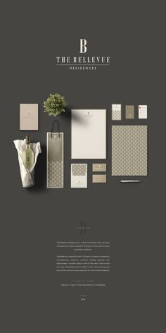 an image of a website design for the believee residence, designed by person