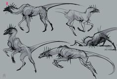 some drawings of different types of animals running and jumping in the air with their tails spread out