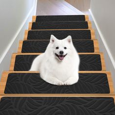 a white dog sitting on top of a set of stairs next to a wooden floor