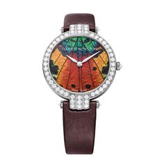 Pre-Owned Harry Winston Pre-Owned Watches - Premier Precious Butterfly Automatic 36mm (PRNAHM36WW005) | Manfredi Jewels Harry Winston, House Gifts, Fine Watches, Gold Case, Skeleton Watch, Watch Movement, Jewelry Creation, Watches Jewelry, Watch Brands