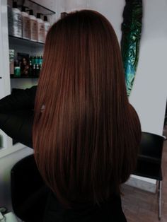 Copper Brown Balayage On Black Hair, Red Hair To Brown Before And After, Erica Ha Hair, Copper Dark Brown Hair, Brown Red Hair Color Auburn, Red Brown Hair Color Balayage, Brown And Red Hair Balayage, Dark Orange Brown Hair, Red To Brown Hair Before And After