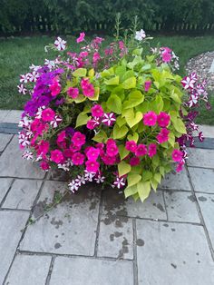 a potted plant with purple and white flowers on a brick walkway in front of some grass