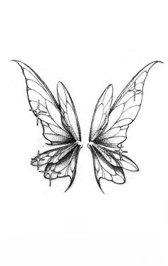 a drawing of two butterflies with wings spread out