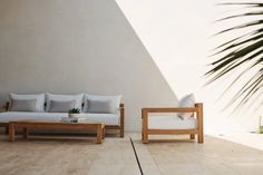 two white couches sitting next to each other near a palm tree