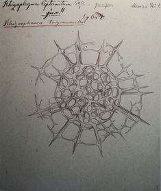 a drawing of a circular object with many small objects in the center, on top of a piece of paper