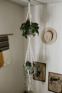 a plant hanging from the side of a wall next to two pictures and a hat