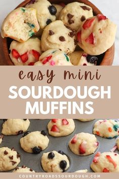 easy mini sourdough muffins with chocolate chips and sprinkles