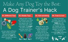 a dog training poster with instructions on how to train a dog and what to use it